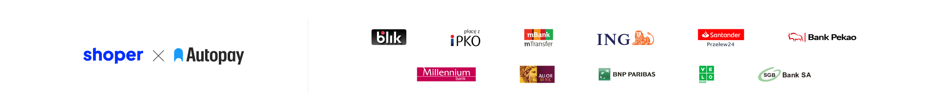 płatności obsługiwane przez mój sklep: blik, ipko, mbank, ing, santander, pekao, millenium, alior bank, bnp paribas, velo, sgb bank